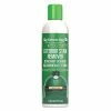 Big Green Egg BGE SpeediClean Exterior Stain Remover 126955 BBQ Accessories