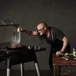 BBQs & Smokers Everdure 2 Burner Gas BBQ - Force