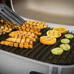 Cooking Grates, Grids & Grills GrillGrates For The PK 360 Grill PK360