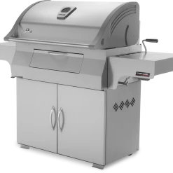 BBQs & Smokers Napoleon Charcoal Professional Grill Stainless Steel PRO605CSS