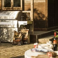 BBQs & Smokers Napoleon Charcoal Professional Grill Stainless Steel PRO605CSS