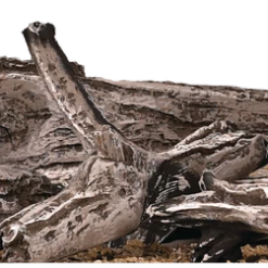 Napoleon DL45 Driftwood Log Kit BBQ Accessories