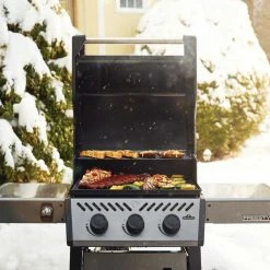 Napoleon Freestyle 365 Gas Grill (Graphite Grey)