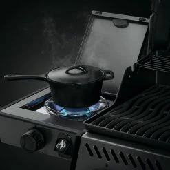 BBQs & Smokers Napoleon Freestyle 365 Gas Grill With Range Side Burner (Graphite Grey)