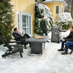 BBQs & Smokers Napoleon Freestyle 365 Gas Grill With Range Side Burner (Graphite Grey)