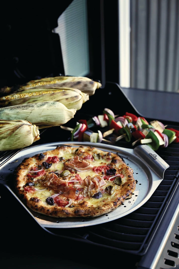 BBQs & Smokers Napoleon Freestyle 425 Gas Grill (Graphite Grey) 6 BBQs & Smokers Napoleon Freestyle 425 Gas Grill (Graphite Grey)