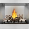 Napoleon Riverside 36 Clean Face Outdoor Fireplace GSS36CFN