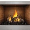 Gas Fireplaces Napoleon Riverside 42 Clean Face Outdoor Fireplace GSS42CFN