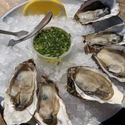 Perlick 15" Ada Compliant Cubelet Ice Maker With Stainless Steel Solid Door Hin H80CIMS-ADL 5 Perlick 15