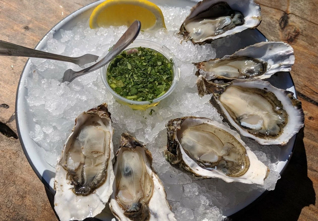 Perlick 15" Ada Compliant Cubelet Ice Maker With Stainless Steel Solid Door Hin H80CIMS-ADL 3 Perlick 15" Ada Compliant Cubelet Ice Maker With Stainless Steel Solid Door Hin H80CIMS-ADL