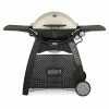 Weber Q3200 BBQ With Cast Iron Cooking Grill Grates