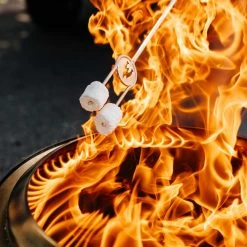 Solo Stove Bonfire Portable Firepit SSBON Fireplaces & Heaters