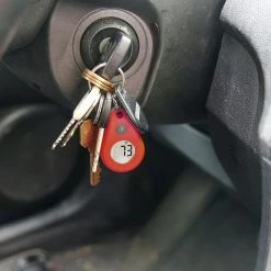 Thermoworks ThermoDrop Zipper-Pull Thermometer