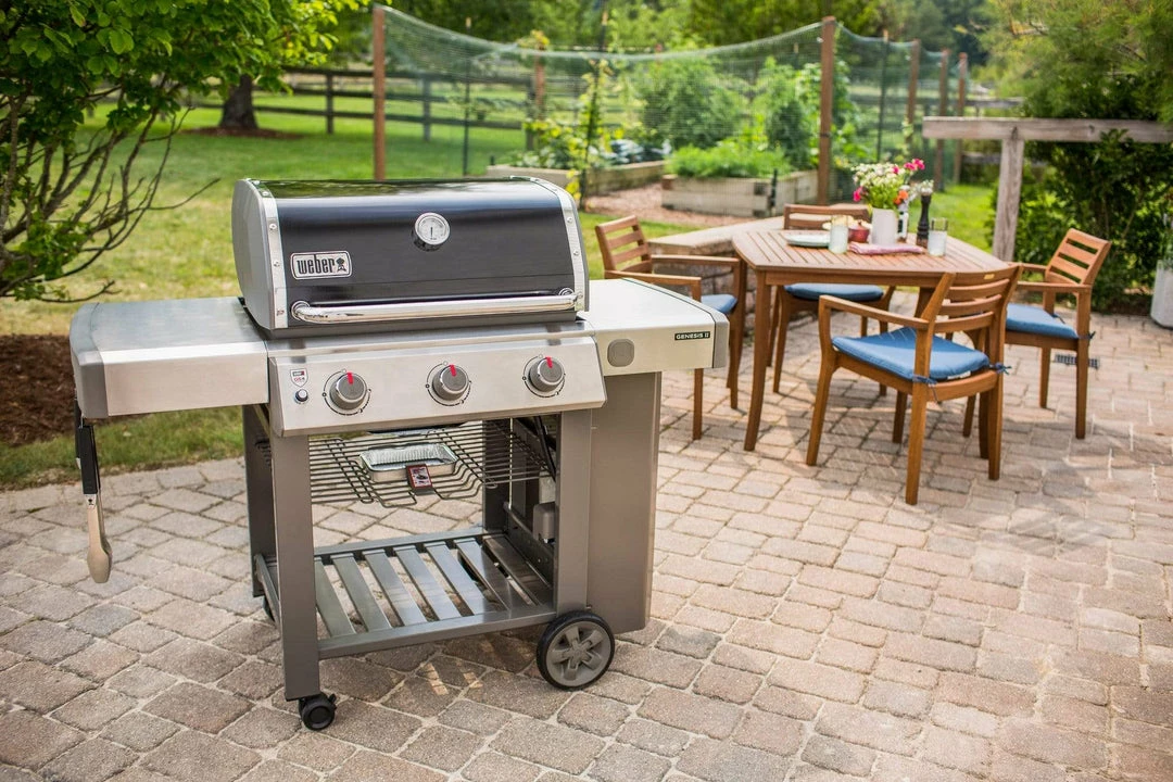 Weber Genesis II E-310 22 Weber Genesis II E-310