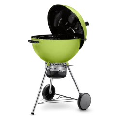 Weber Master Touch 22