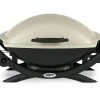 Weber Q2000 - Portable BBQ Propane