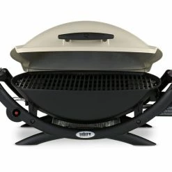 Weber Q2000 - Portable BBQ Propane