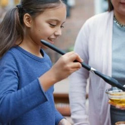 Weber Spirit EX-315 Gas Grill