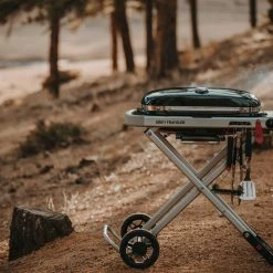 BBQs & Smokers Weber Traveler RV Gas Grill 15 BBQs & Smokers Weber Traveler RV Gas Grill