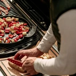 BBQs & Smokers Weber Traveler RV Gas Grill 20 BBQs & Smokers Weber Traveler RV Gas Grill