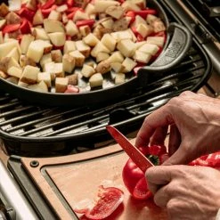 BBQs & Smokers Weber Traveler RV Gas Grill 21 BBQs & Smokers Weber Traveler RV Gas Grill