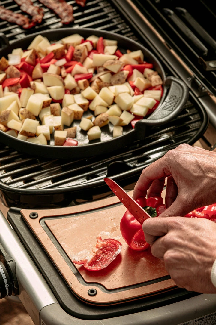 BBQs & Smokers Weber Traveler RV Gas Grill 10 BBQs & Smokers Weber Traveler RV Gas Grill