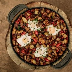 BBQs & Smokers Weber Traveler RV Gas Grill 22 BBQs & Smokers Weber Traveler RV Gas Grill