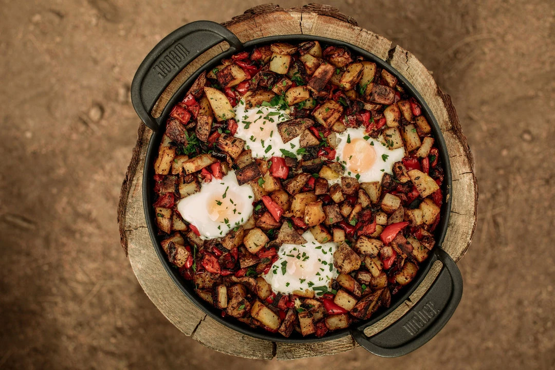 BBQs & Smokers Weber Traveler RV Gas Grill 11 BBQs & Smokers Weber Traveler RV Gas Grill