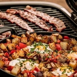 BBQs & Smokers Weber Traveler RV Gas Grill 23 BBQs & Smokers Weber Traveler RV Gas Grill